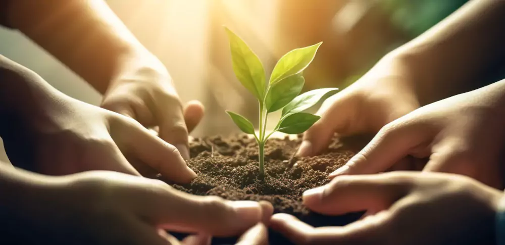 alegoria-rozwoju-firmy-1